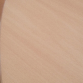 全力にゃんこ～( =＾ω＾)フライングディスクの画像