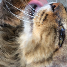 気がつくと…の画像