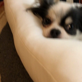 わかってるねの画像