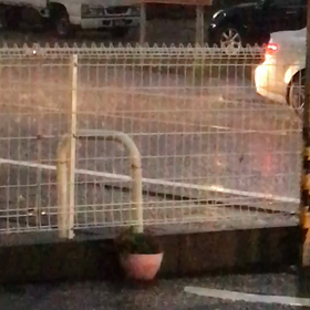 先程の所沢の様子の画像