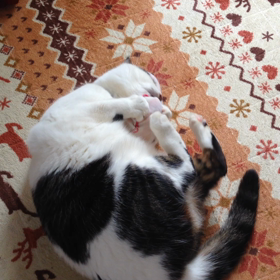 簡単更新です♪の画像