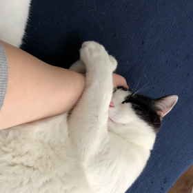 ぎゅぅぅぅっの画像