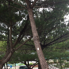 まだ！？の画像