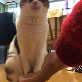 最近暗いブログばかりだわ〜　容量がいっぱいで…の画像