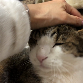 ありがたいお話。の画像