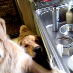 何でも欲しいの画像