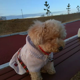 寒いけど、ボール遊び～の画像