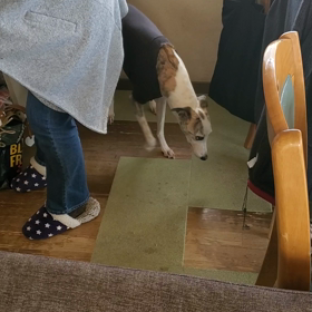 アクセルお泊まり２日目の画像