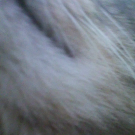 ドアップわだちで令和スタートの画像