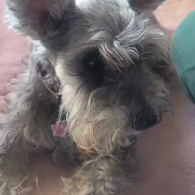 モグモグの画像