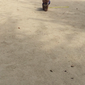 【動画】懸命に、走って来てくれてる！！の画像