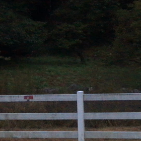 コヨーテ！！の画像