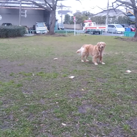 嬉しすぎて＼(^^)／の画像