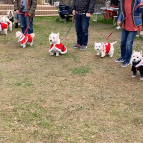クリスマスパーティー＊パン食い競争の画像