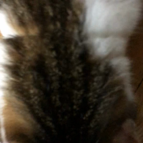 心配と凄く心配…の画像