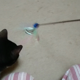 寒さ吹き飛ばせ～の画像