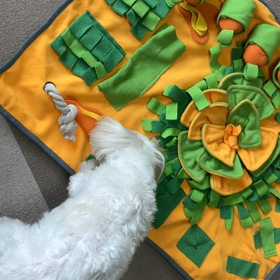 おやつはノーズワークで♪の画像