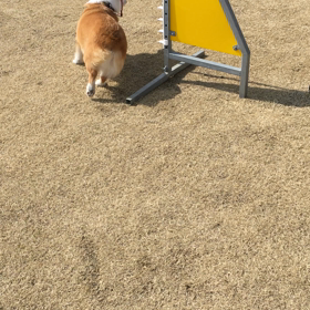 右回り(ヒー)と左回り(ディス)の画像