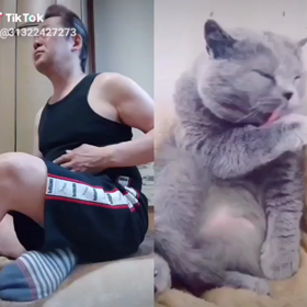 お腹も下り坂(；^ω^)の画像