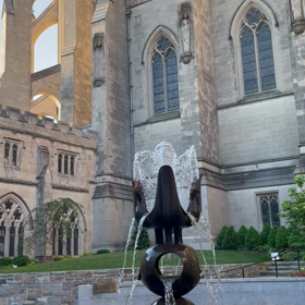 朝の癒しの画像