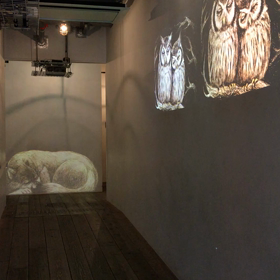 入学式とアラシゴトの画像