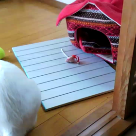 相手してやるよ。の画像