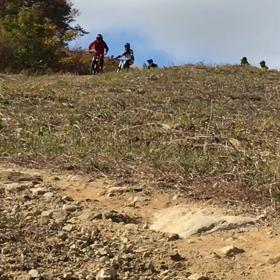 来週は今シーズンのラスト営業です！の画像