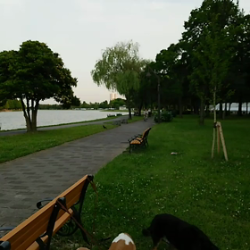 水元公園♪の画像