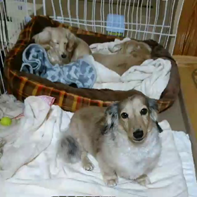 寒くなったのでの画像