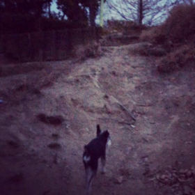 ズッコケの画像