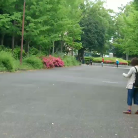 選考会動画⑥の画像