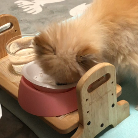 夜食のリンゴ…の画像