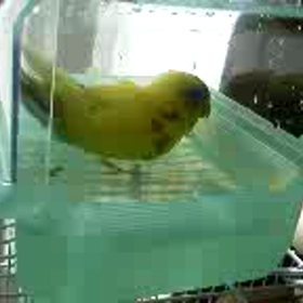 うらやましいの画像