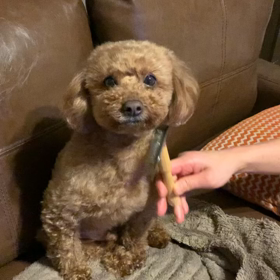 どっちなの？の画像