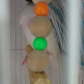 ﾐﾙｸちゃんの誕生日ヽ(・∀・)ノの画像