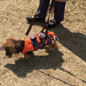 震災の日のこと。今日のレナ。の画像