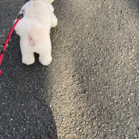 昨日のことの画像