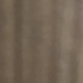 将来はミュージカル女優？の画像