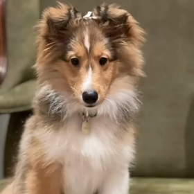 20210812 Win IGSの画像