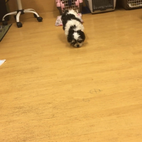 よし、行くぞ！！の画像