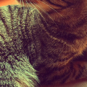 ♩現（うつつ ） 音源の画像