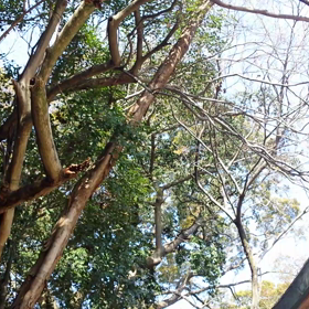 お釣りの二円におまけ付きの画像