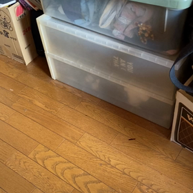 なに犯罪？の画像