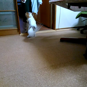 今日の美玲ちゃんは････の画像