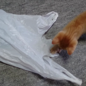 むぎっちゅ☆袋あそびの画像