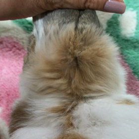 お耳の後ろと寝相の画像