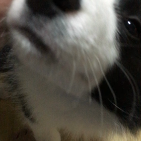 初めての部屋に緊張するみーなちゃんの画像