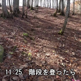 2023.11.5 兵庫県 蘇武岳_2回目【Vlog（その3）】の画像