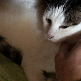 三咲さんもあと6日でトライアル！の画像