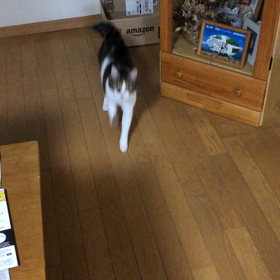 今日は運が良かった(^_^;) 無事ボディーバランスへの画像